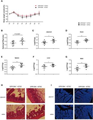 G Protein-Coupled Receptor 109A Maintains the Intestinal Integrity and Protects Against ETEC Mucosal Infection by Promoting IgA Secretion